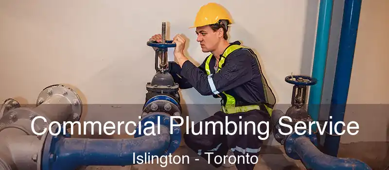  Commercial Plumbing Service Islington - Toronto