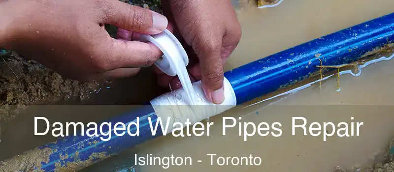  Damaged Water Pipes Repair Islington - Toronto