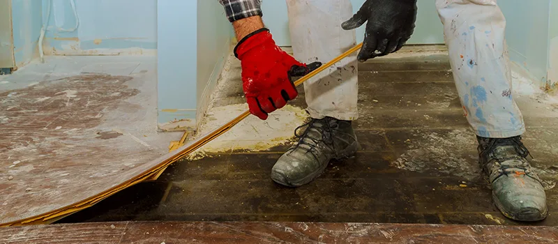 Cost Of Flooded Basement Cleanup in Islington, Toronto