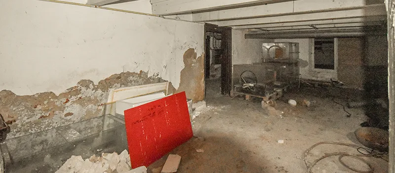 Home Basement Renovation in Islington, Toronto