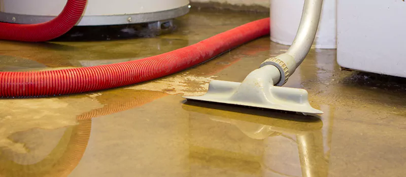 Professional Sewer Backup Cleanup Services in Islington, Toronto
