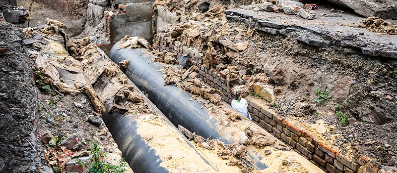 Commercial Sewer Tree Roots Damage Solutions in Islington, Toronto