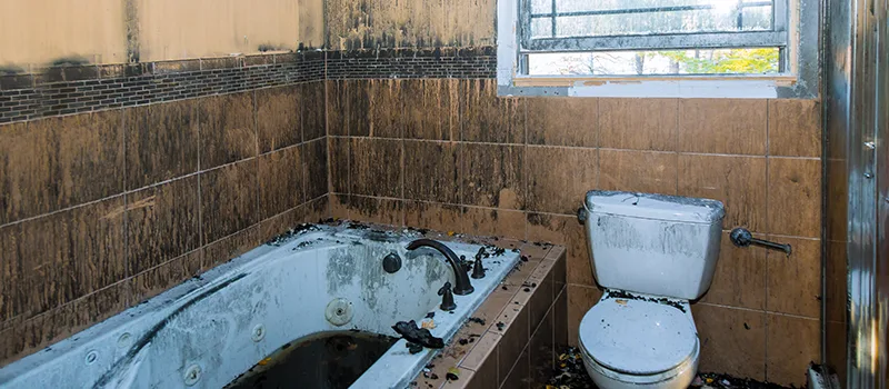 Residential Water Damage Restoration in Islington, Toronto