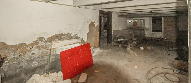 Basement Water Flooding Restoration in Islington, Toronto