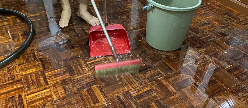Water Removal And Restoration Services in Islington, Toronto