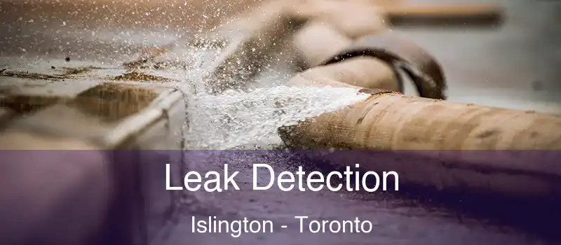  Leak Detection Islington - Toronto
