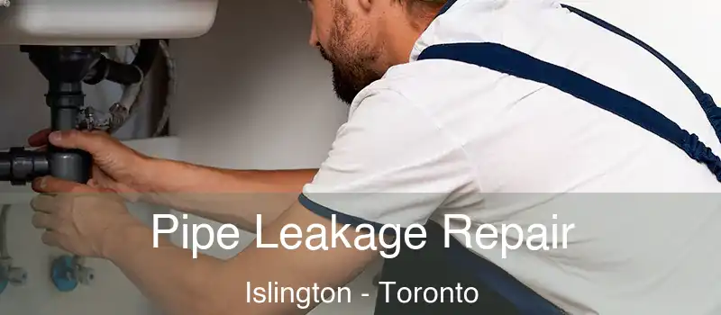  Pipe Leakage Repair Islington - Toronto