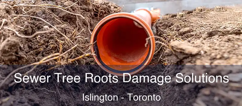 Sewer Tree Roots Damage Solutions Islington - Toronto