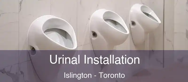  Urinal Installation Islington - Toronto