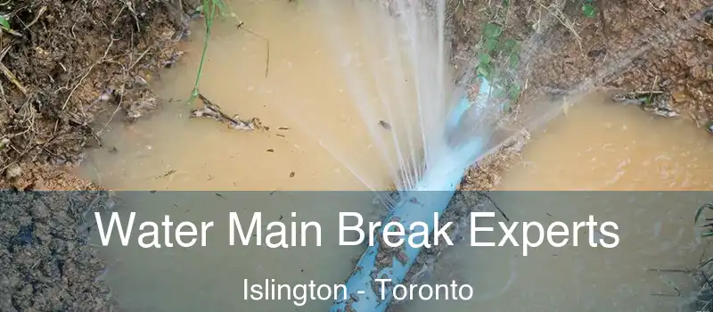  Water Main Break Experts Islington - Toronto